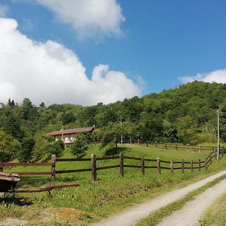 La Casa In Collina Bed & Breakfast Cinzano Екстериор снимка